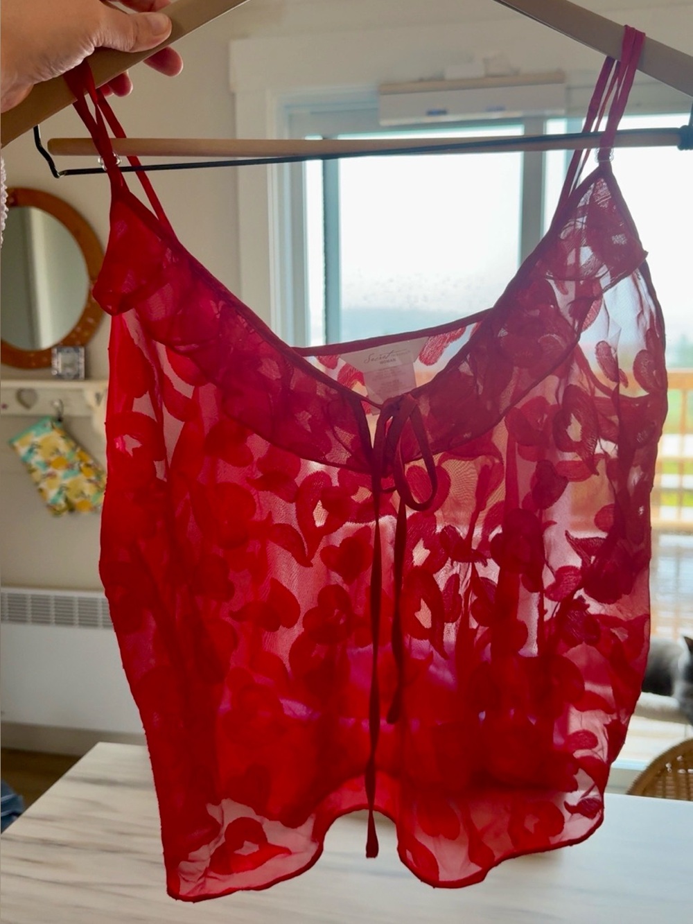 PLUS SIZE SHEER LINGERIE TOP SIZE 1X